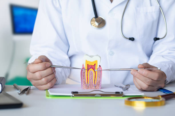 Best Urgent Care for Lost Fillings or Crowns in Knik Fairview, AK